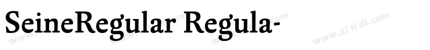 SeineRegular Regula字体转换